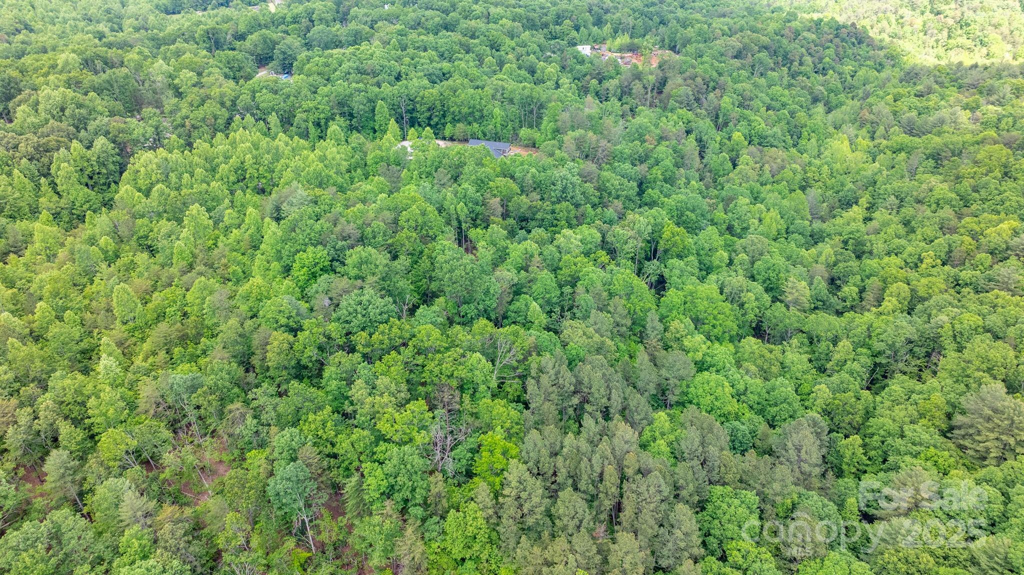 Tbd Darrow Drive Nebo NC 28761
