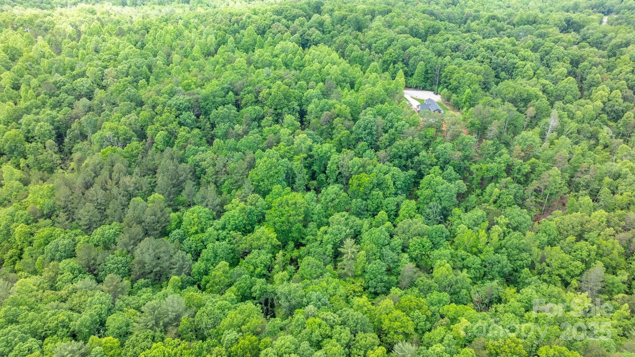 Tbd Darrow Drive Nebo NC 28761