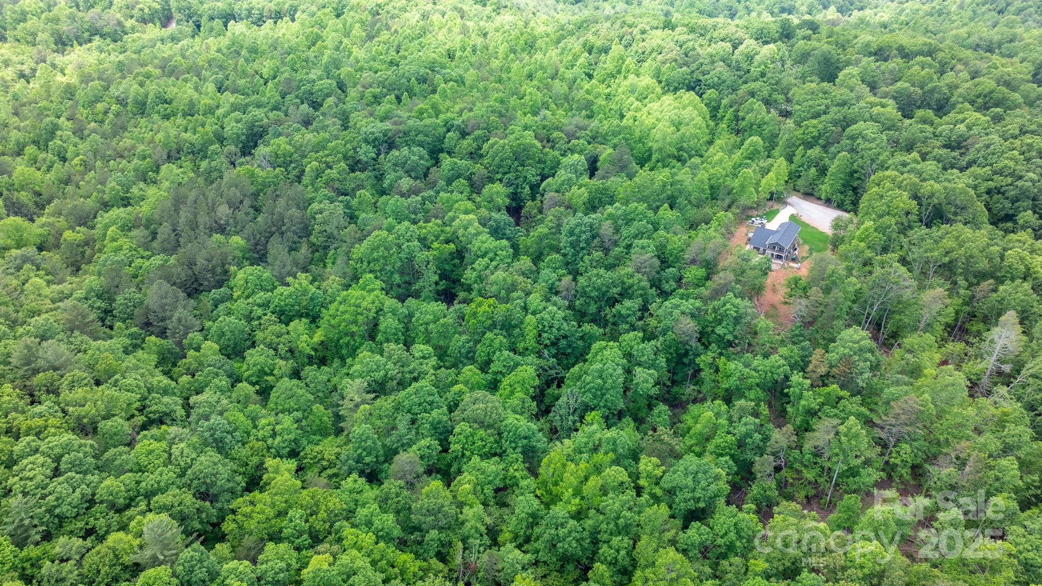 Tbd Darrow Drive Nebo NC 28761