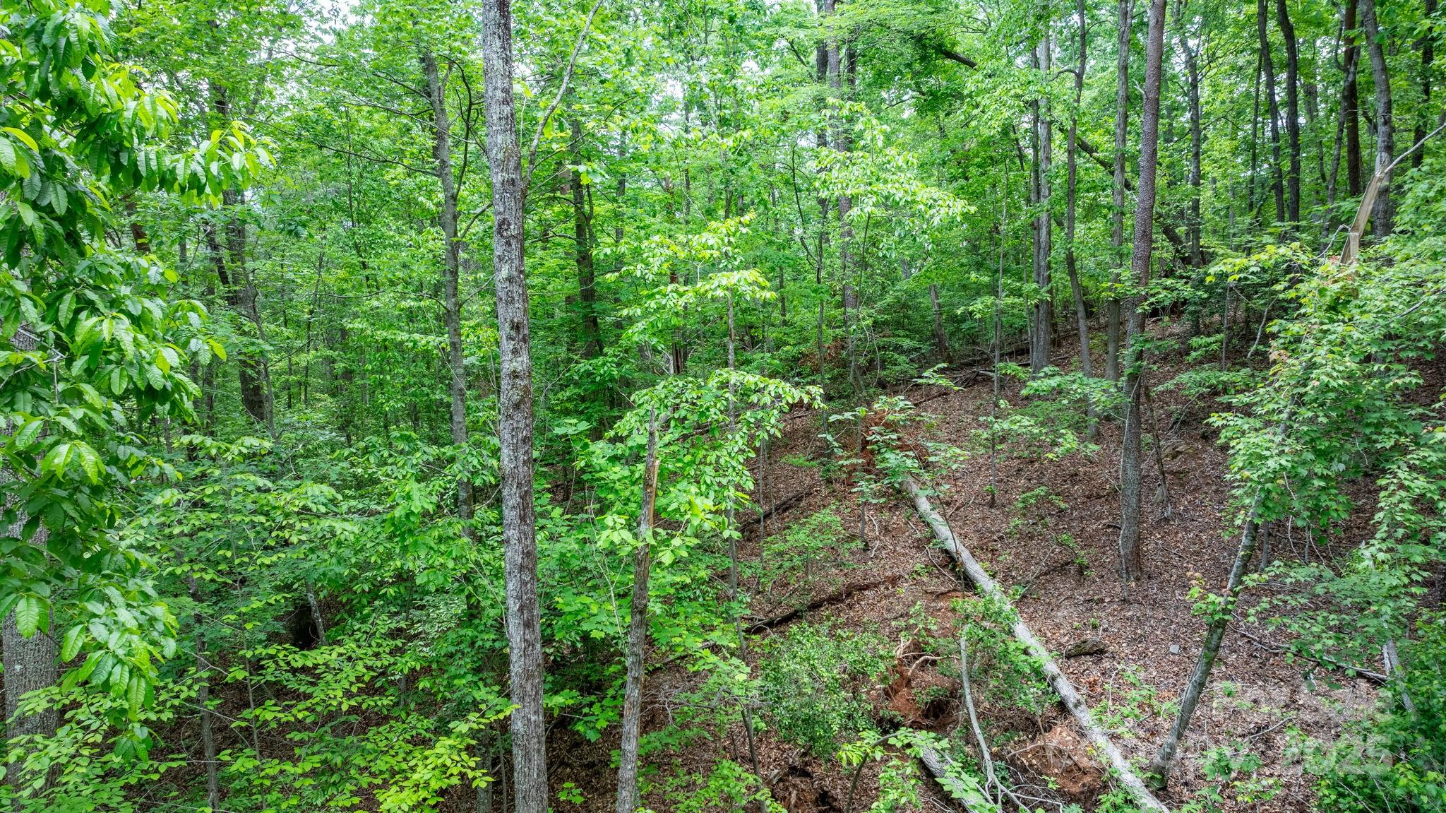 Tbd Darrow Drive Nebo NC 28761