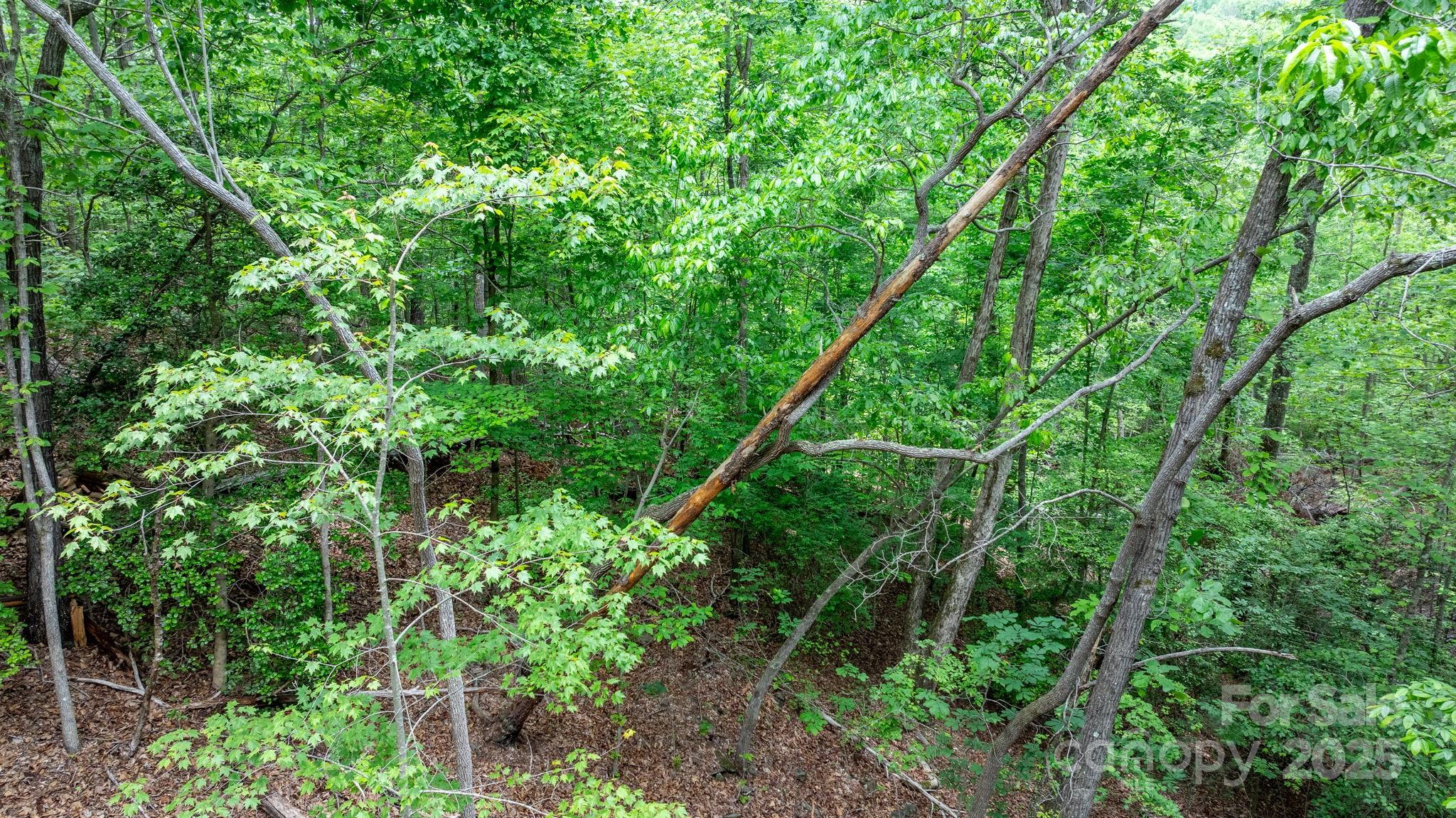 Tbd Darrow Drive Nebo NC 28761