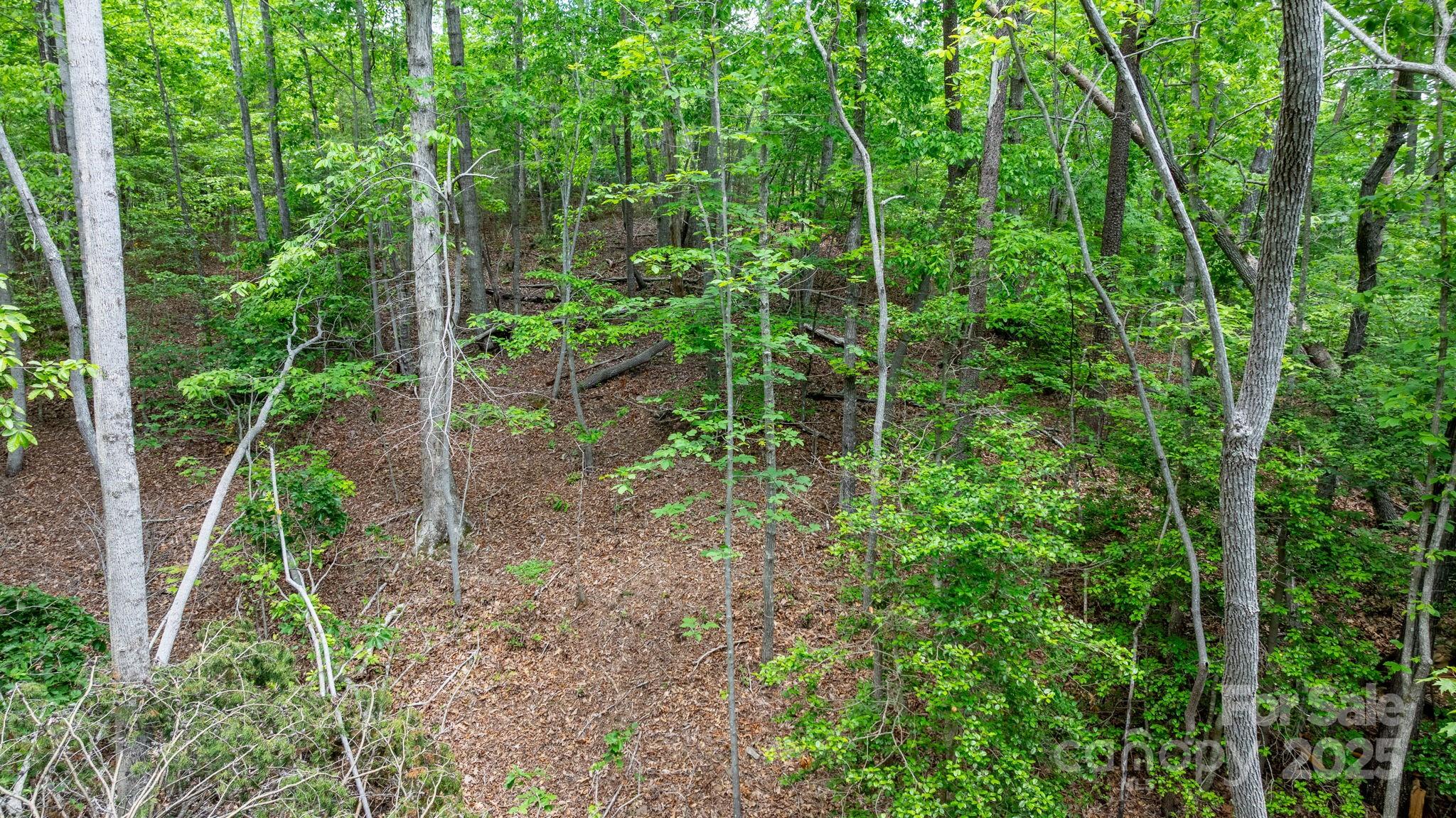 Tbd Darrow Drive Nebo NC 28761