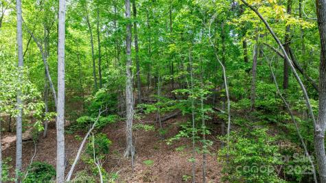 Tbd Darrow Drive Nebo NC 28761