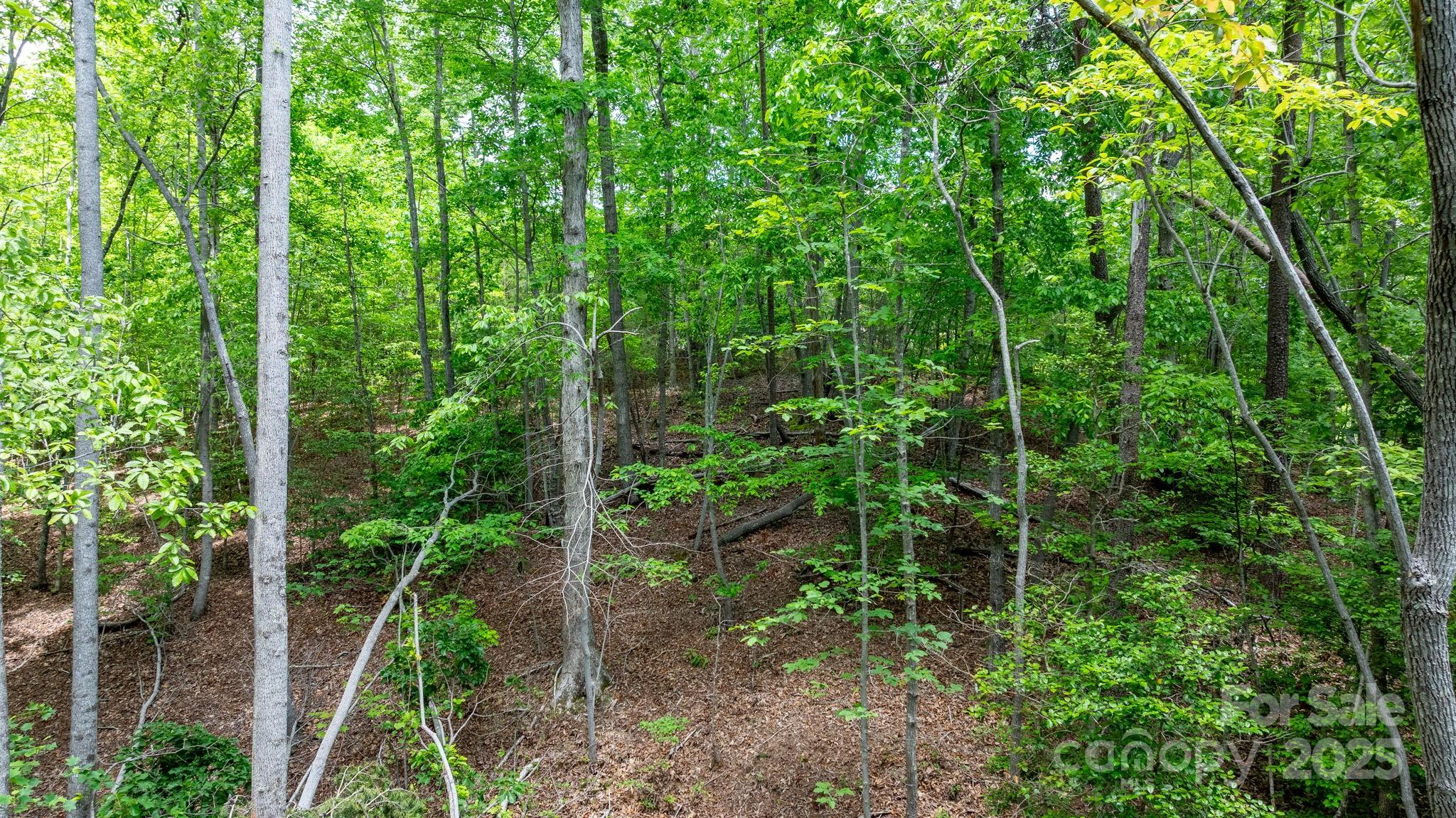 Tbd Darrow Drive Nebo NC 28761