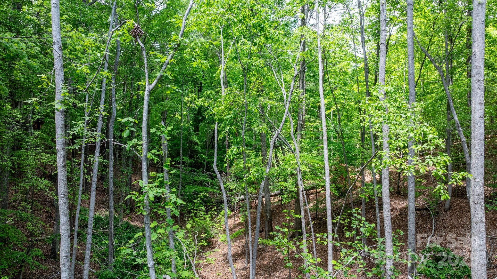 Tbd Darrow Drive Nebo NC 28761