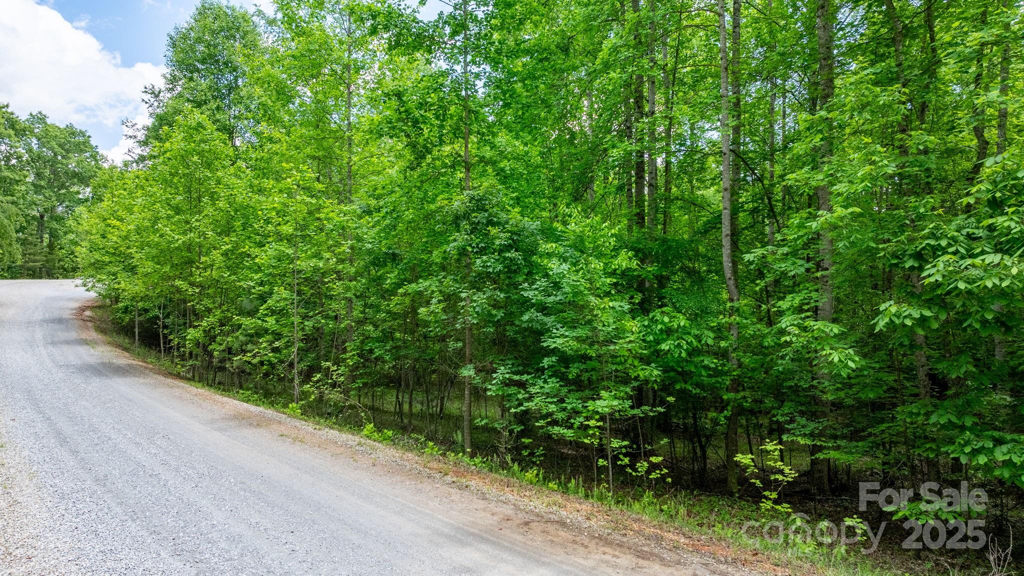 Tbd Darrow Drive Nebo NC 28761