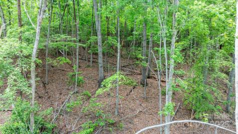 Tbd Darrow Drive Nebo NC 28761