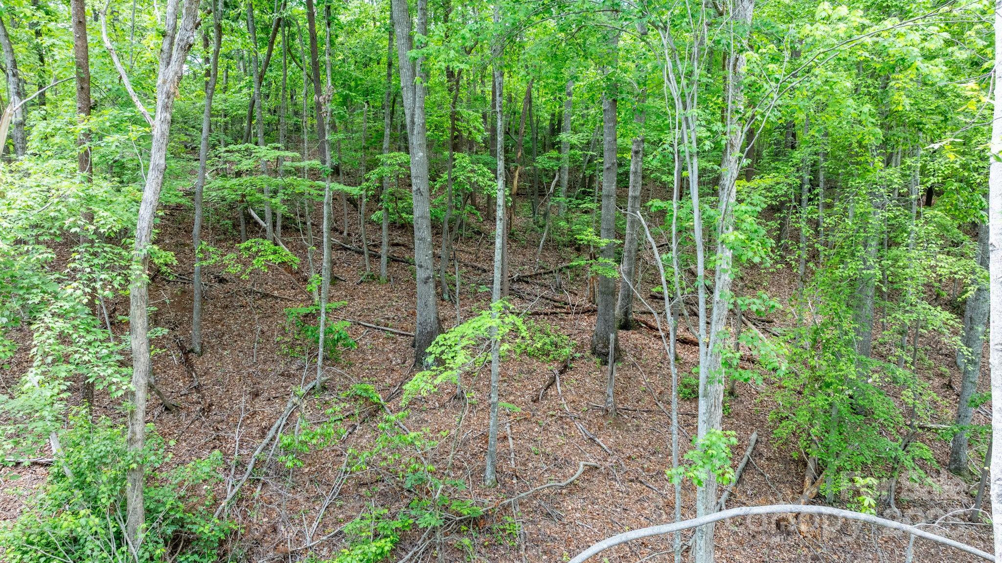 Tbd Darrow Drive Nebo NC 28761
