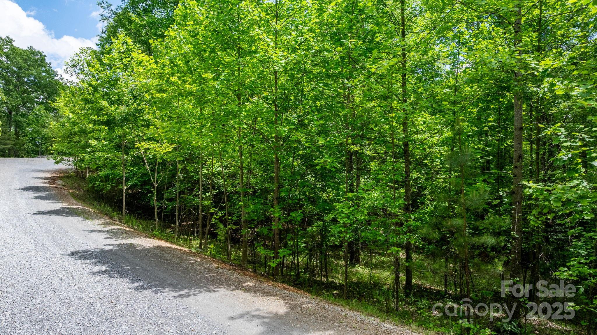 Tbd Darrow Drive Nebo NC 28761