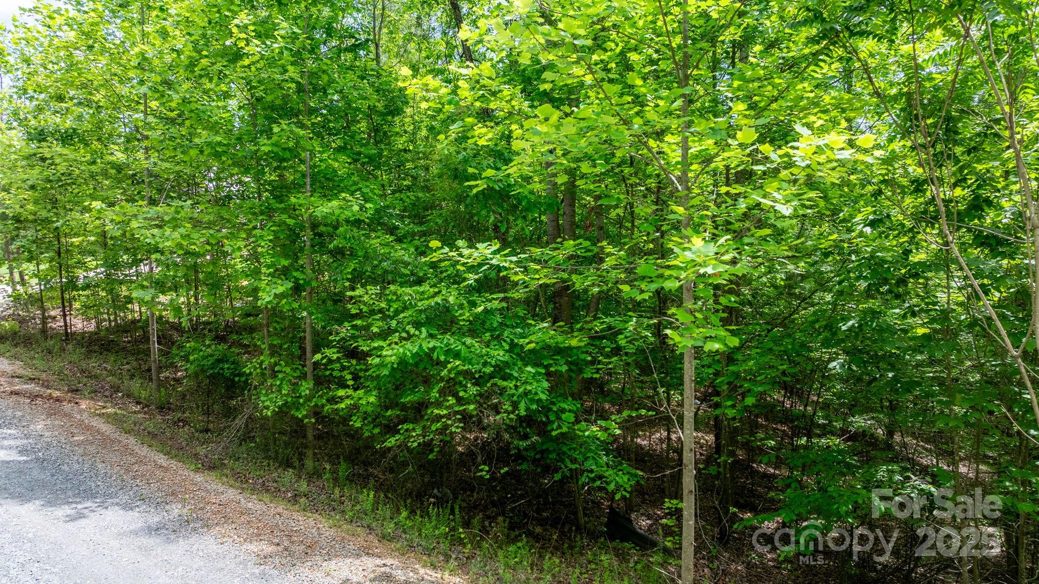 Tbd Darrow Drive Nebo NC 28761