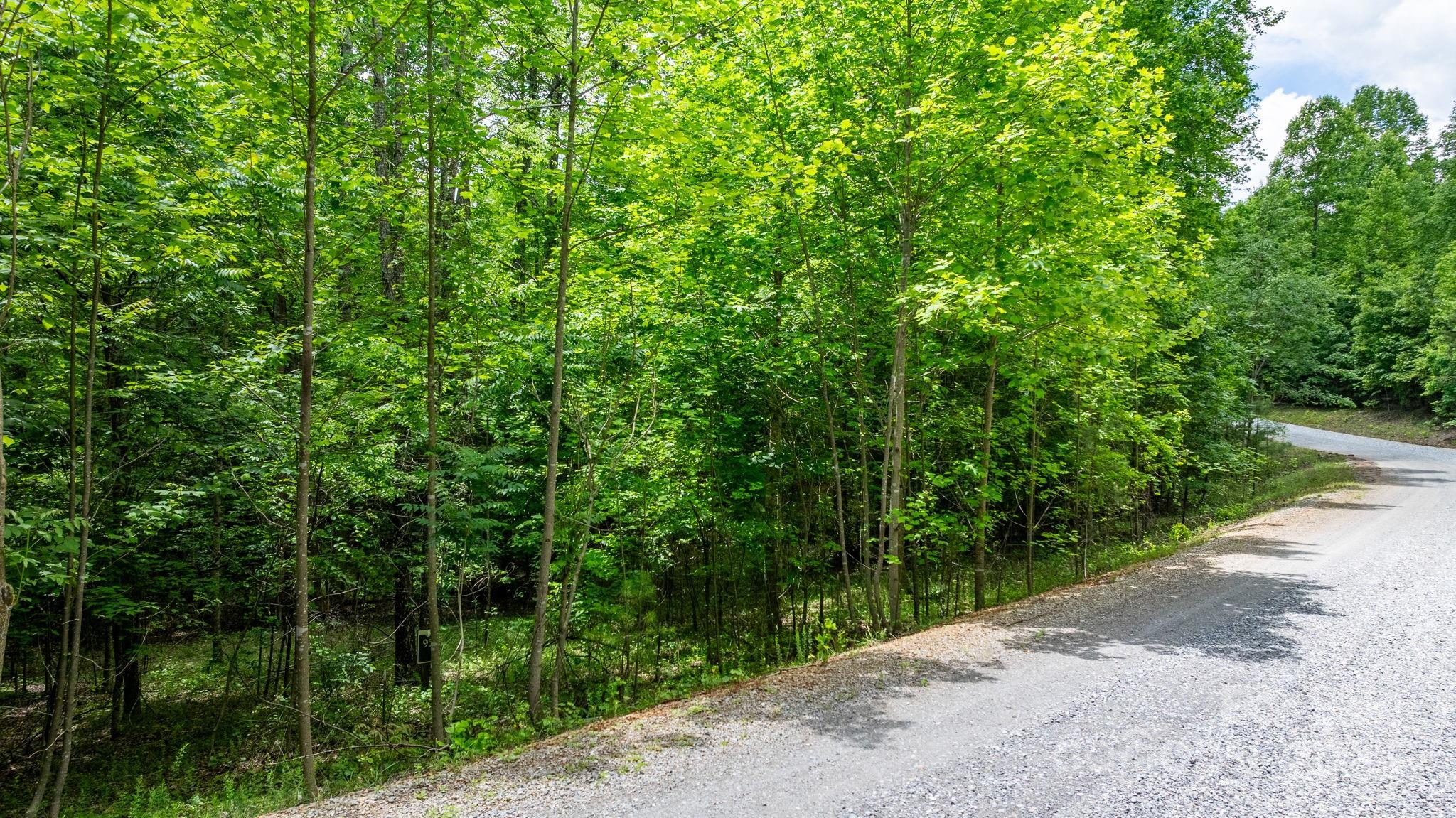 Tbd Darrow Drive Nebo NC 28761