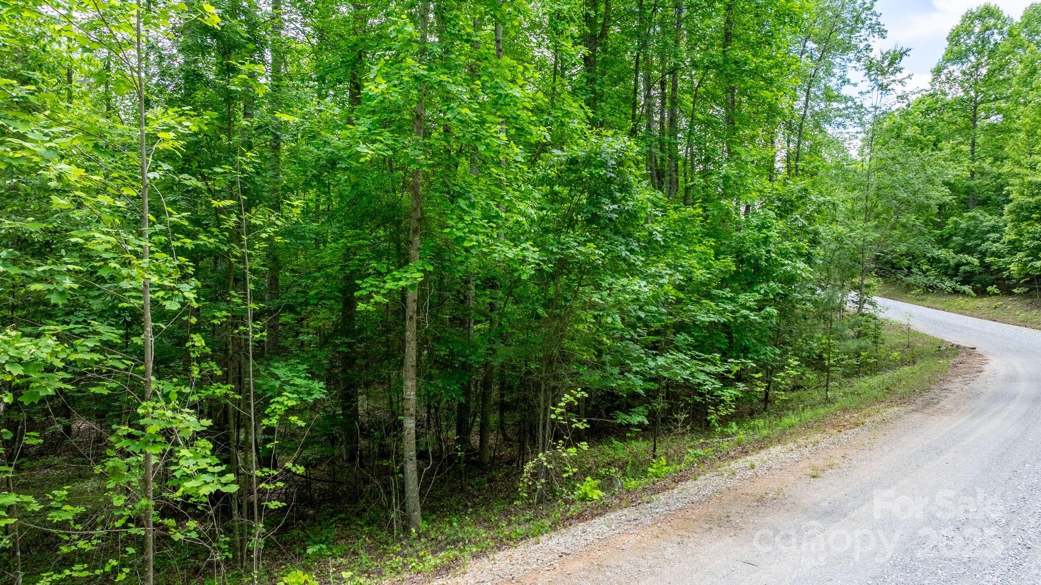 Tbd Darrow Drive Nebo NC 28761