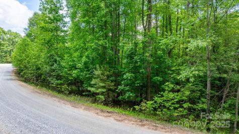 Tbd Darrow Drive Nebo NC 28761