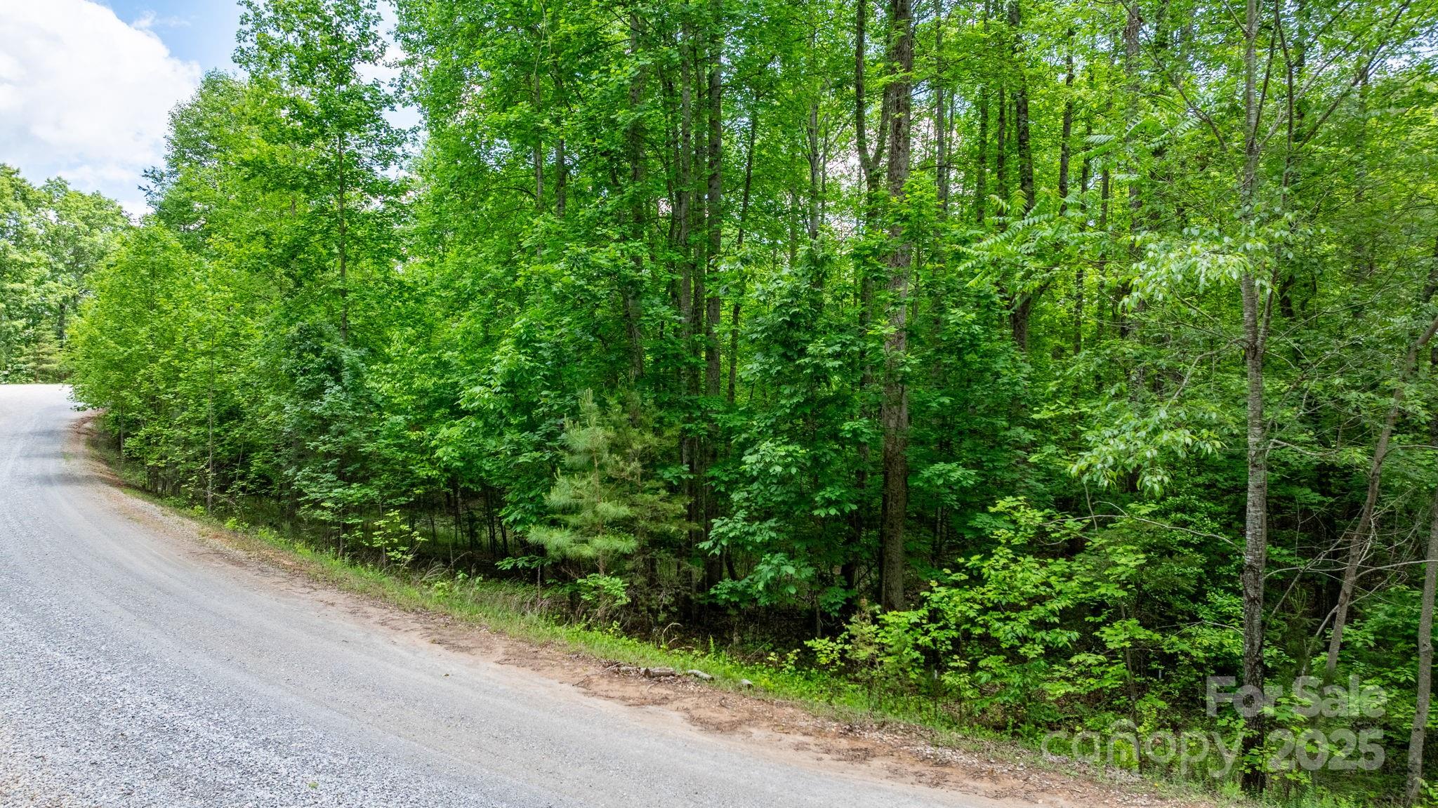 Tbd Darrow Drive Nebo NC 28761