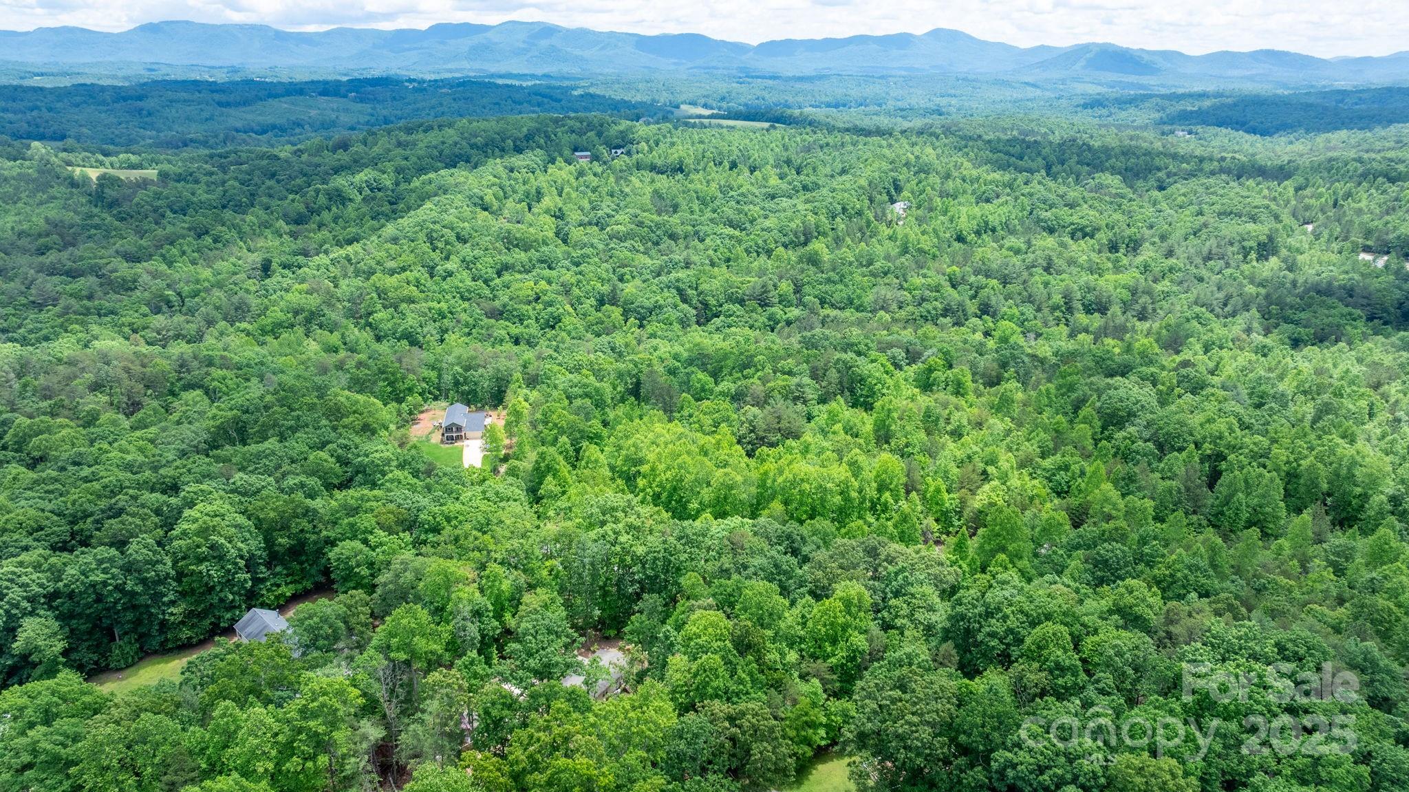 Tbd Darrow Drive Nebo NC 28761