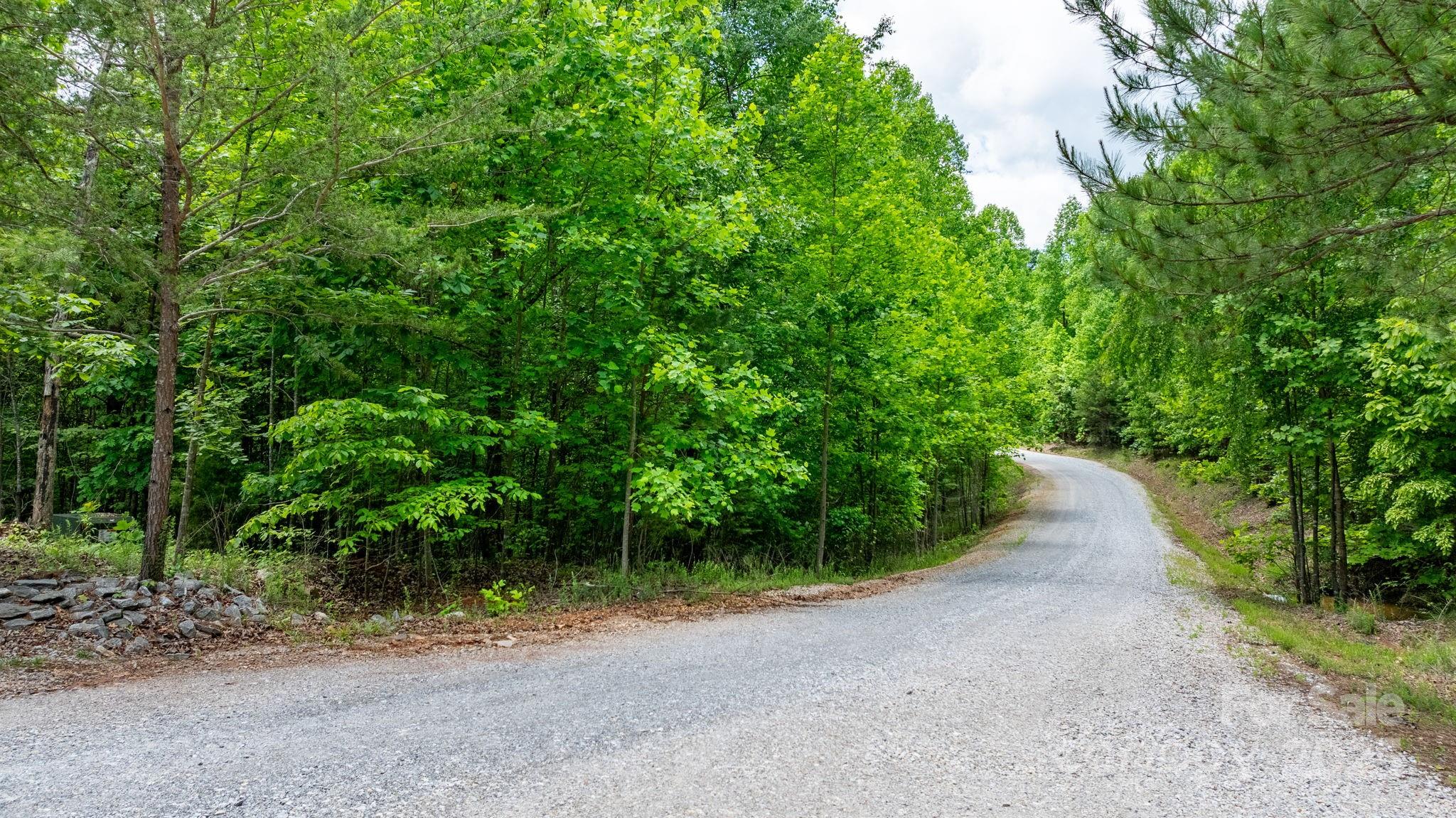 Tbd Darrow Drive Nebo NC 28761