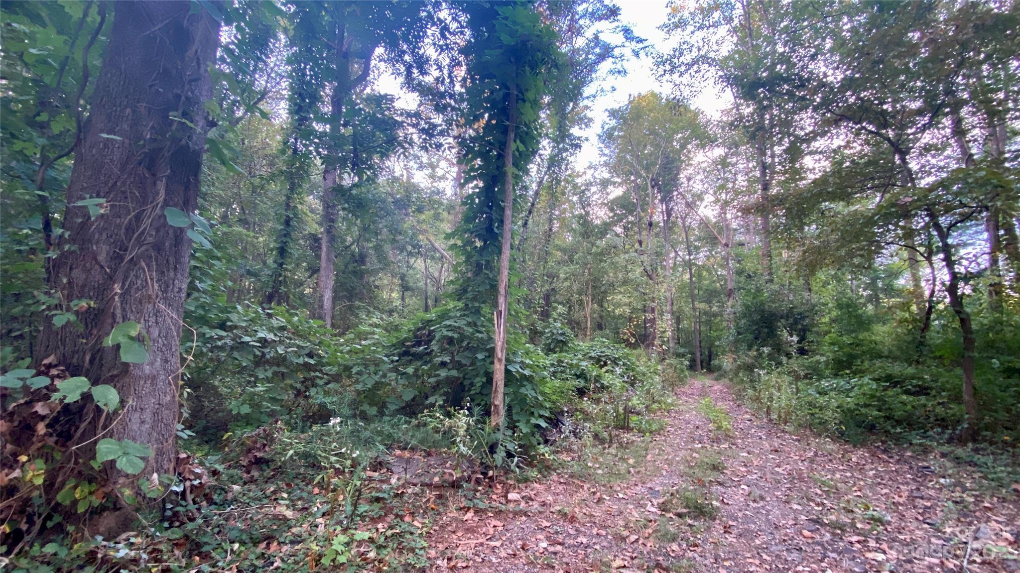 65 Cherry Lane Newton NC 28658