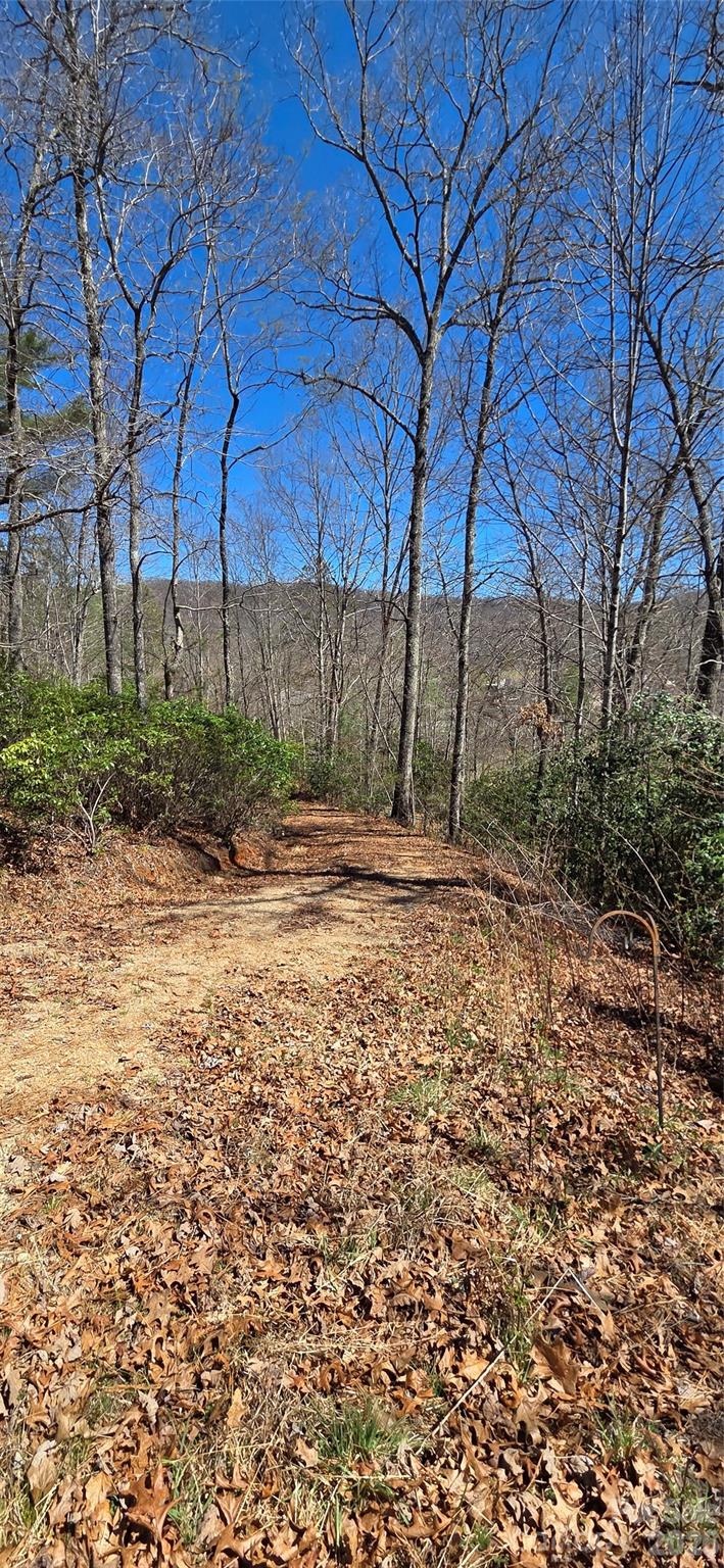 90 Kimiko Lane S Balsam Grove NC 28708