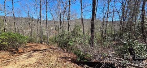 90 Kimiko Lane S Balsam Grove NC 28708