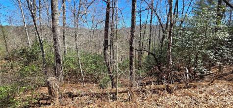 90 Kimiko Lane S Balsam Grove NC 28708
