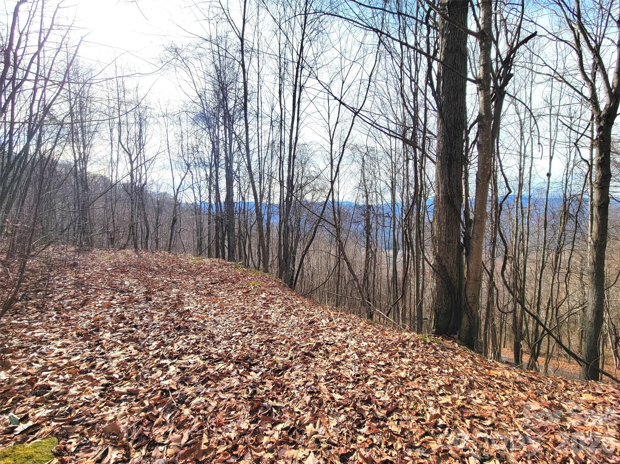 75 Rimrock Ridge Clyde NC 28721