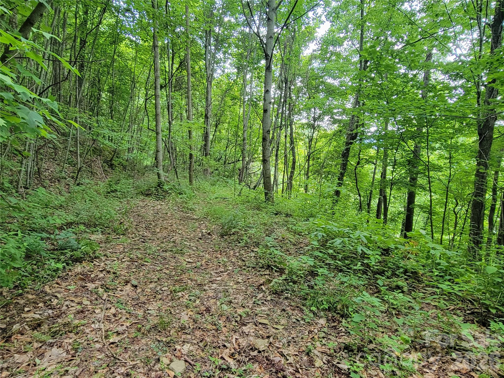75 Rimrock Ridge Clyde NC 28721