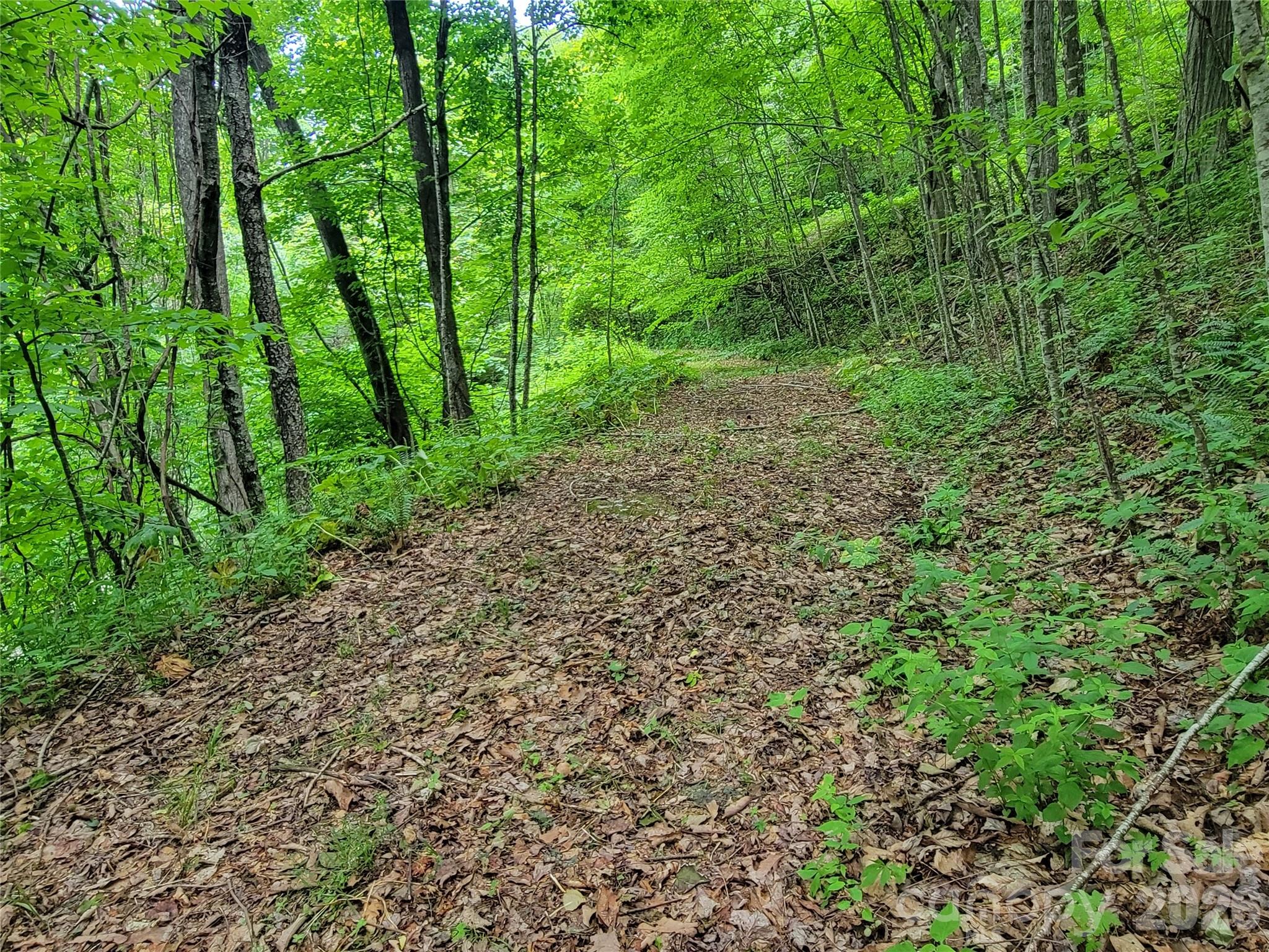 75 Rimrock Ridge Clyde NC 28721