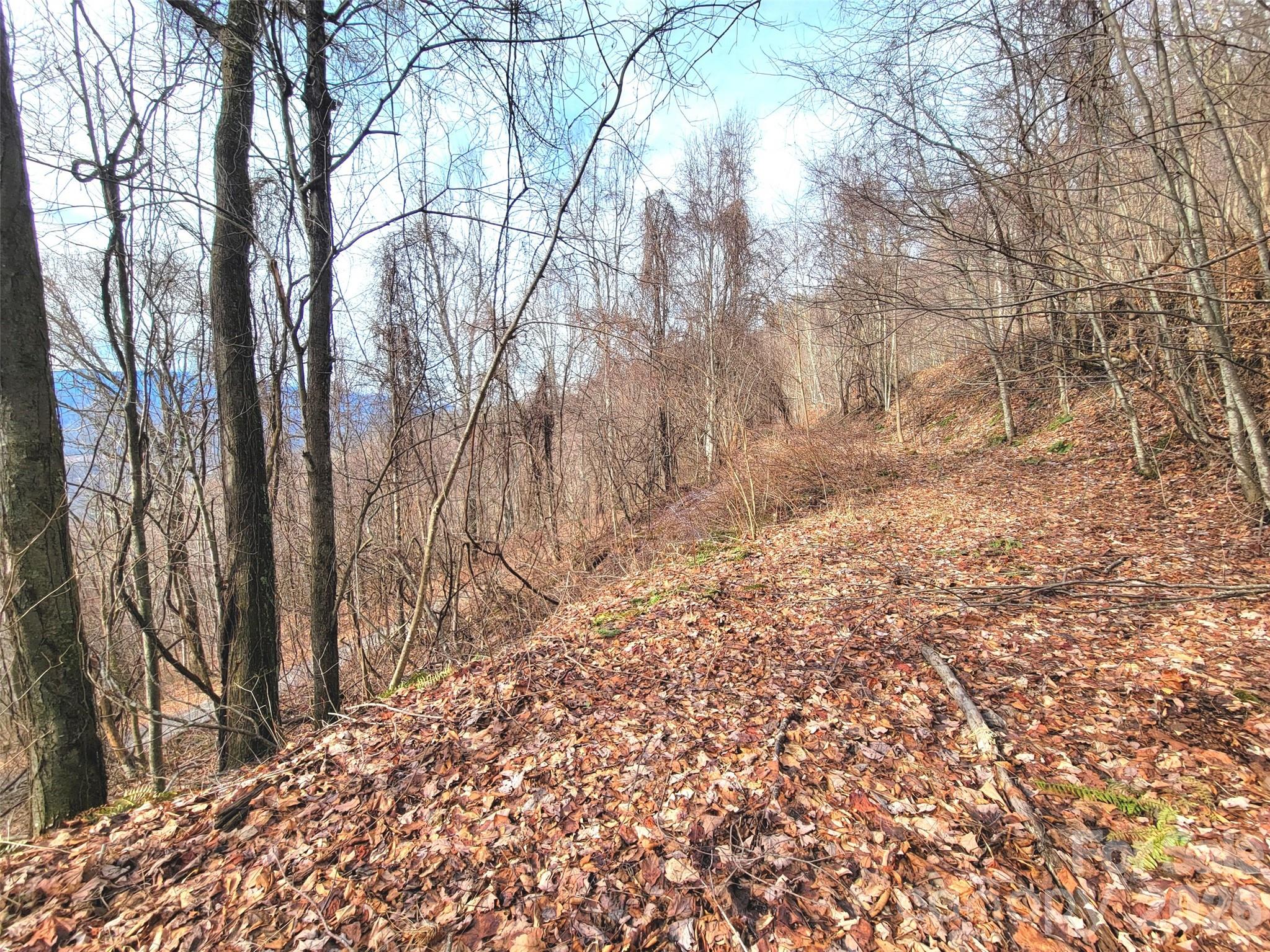 75 Rimrock Ridge Clyde NC 28721
