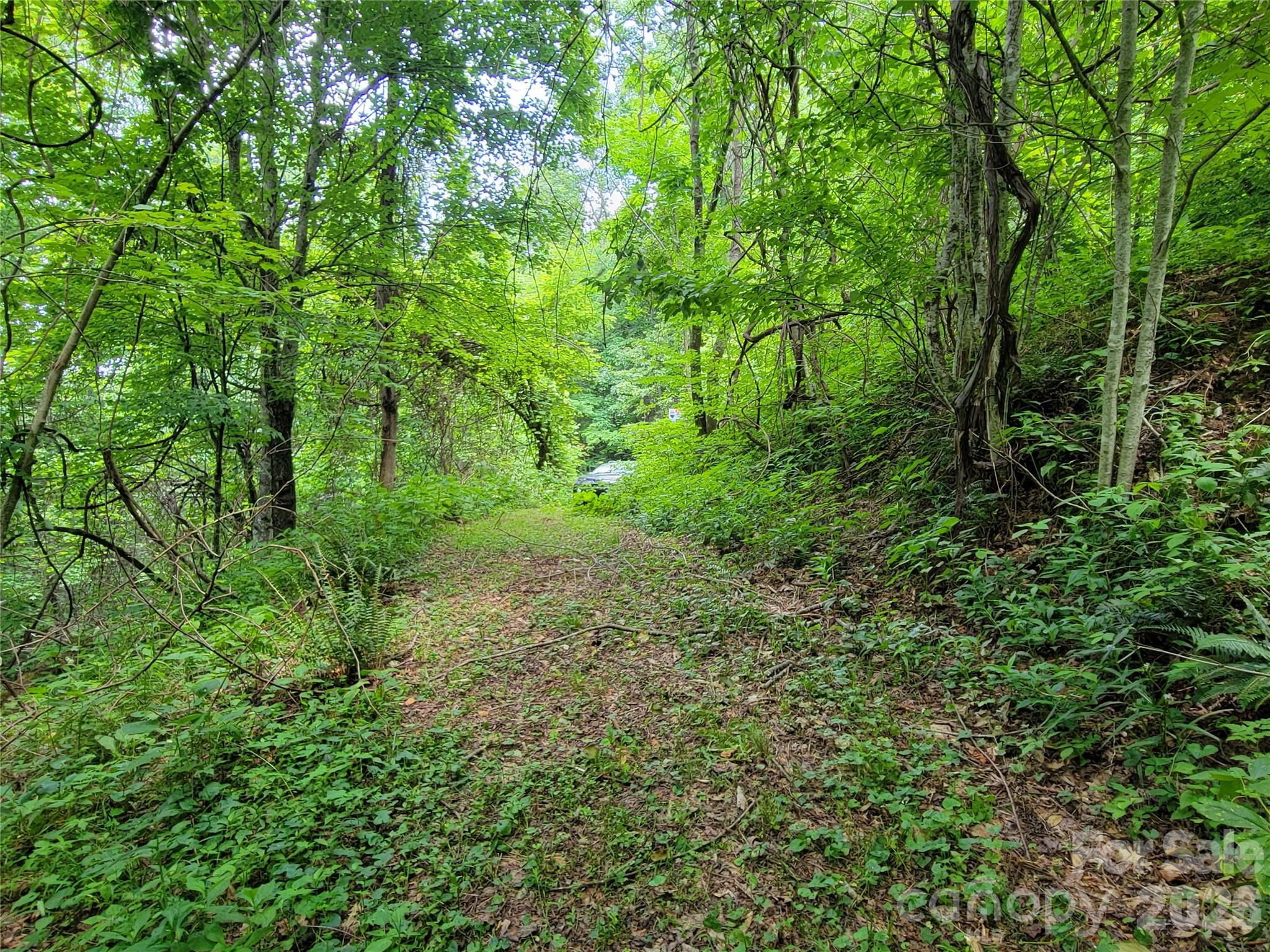 75 Rimrock Ridge Clyde NC 28721