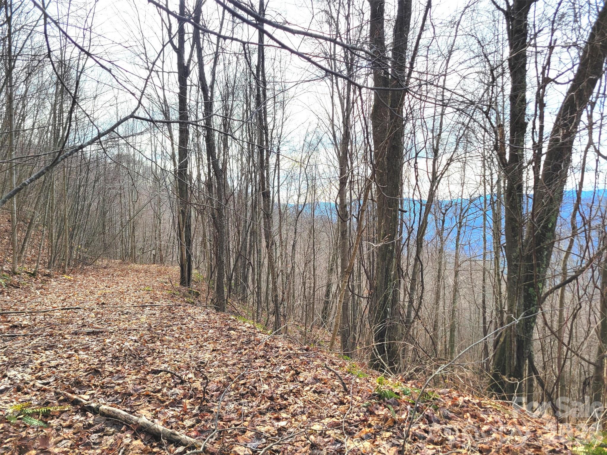 75 Rimrock Ridge Clyde NC 28721