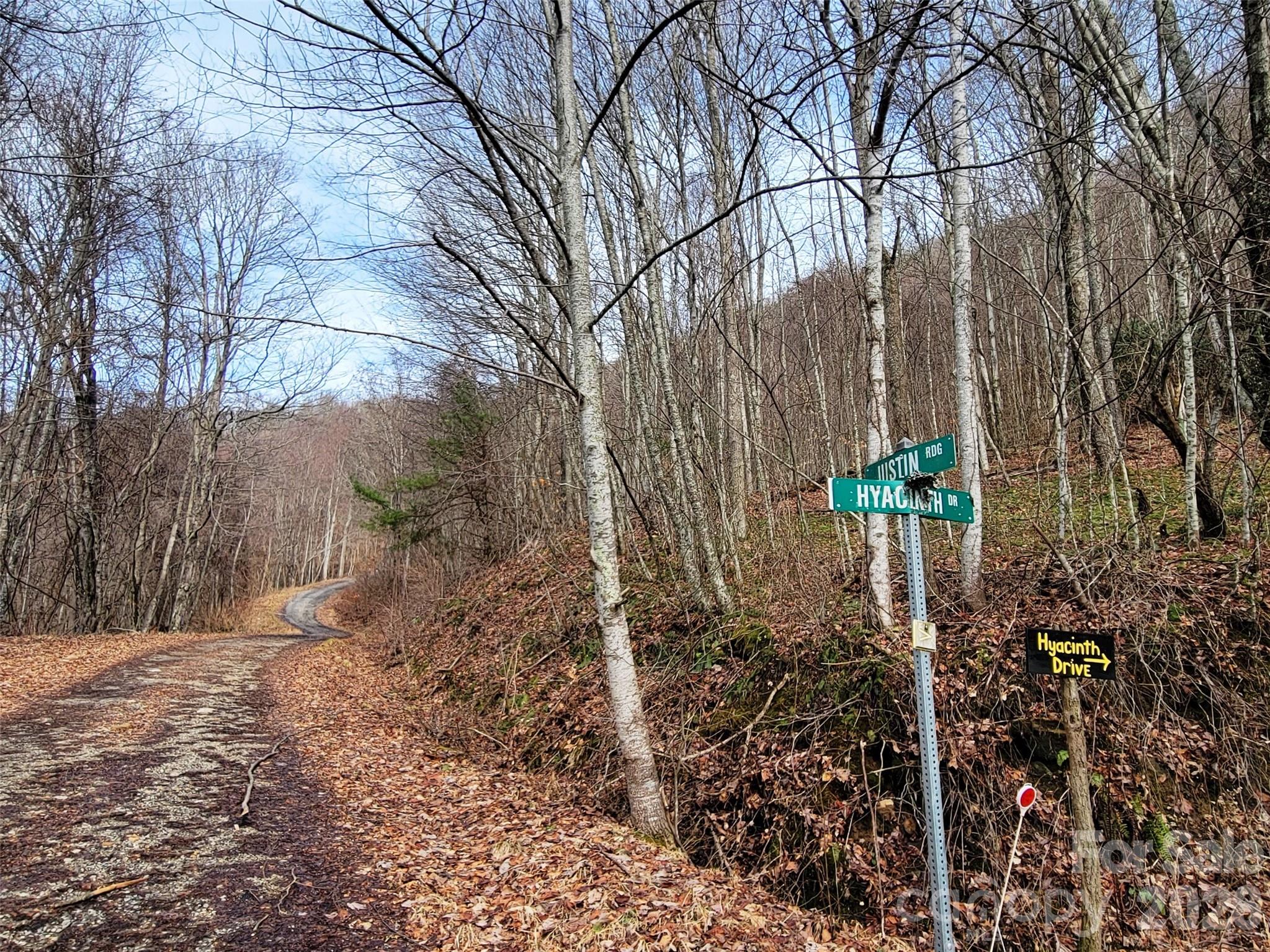 75 Rimrock Ridge Clyde NC 28721