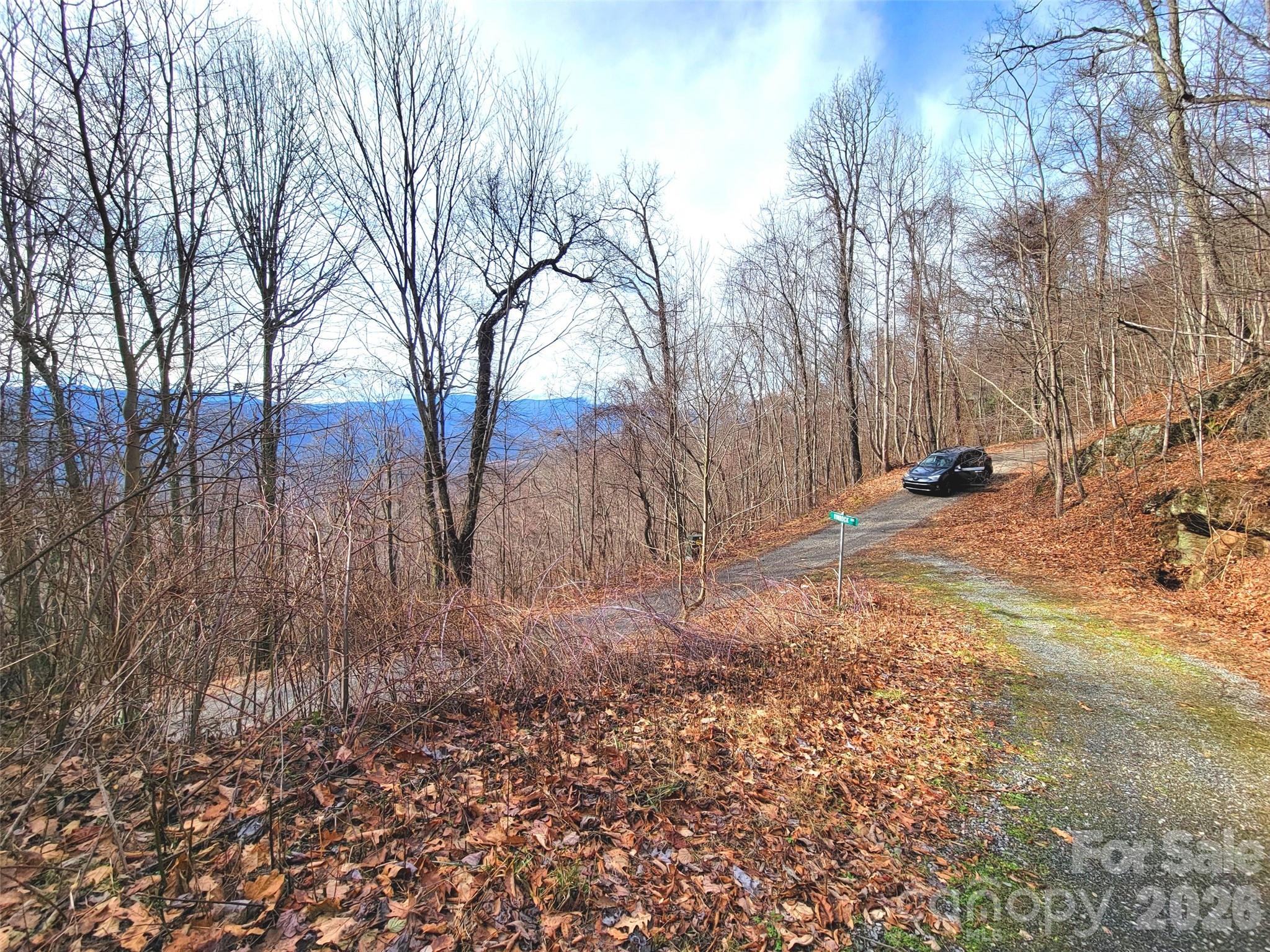 75 Rimrock Ridge Clyde NC 28721