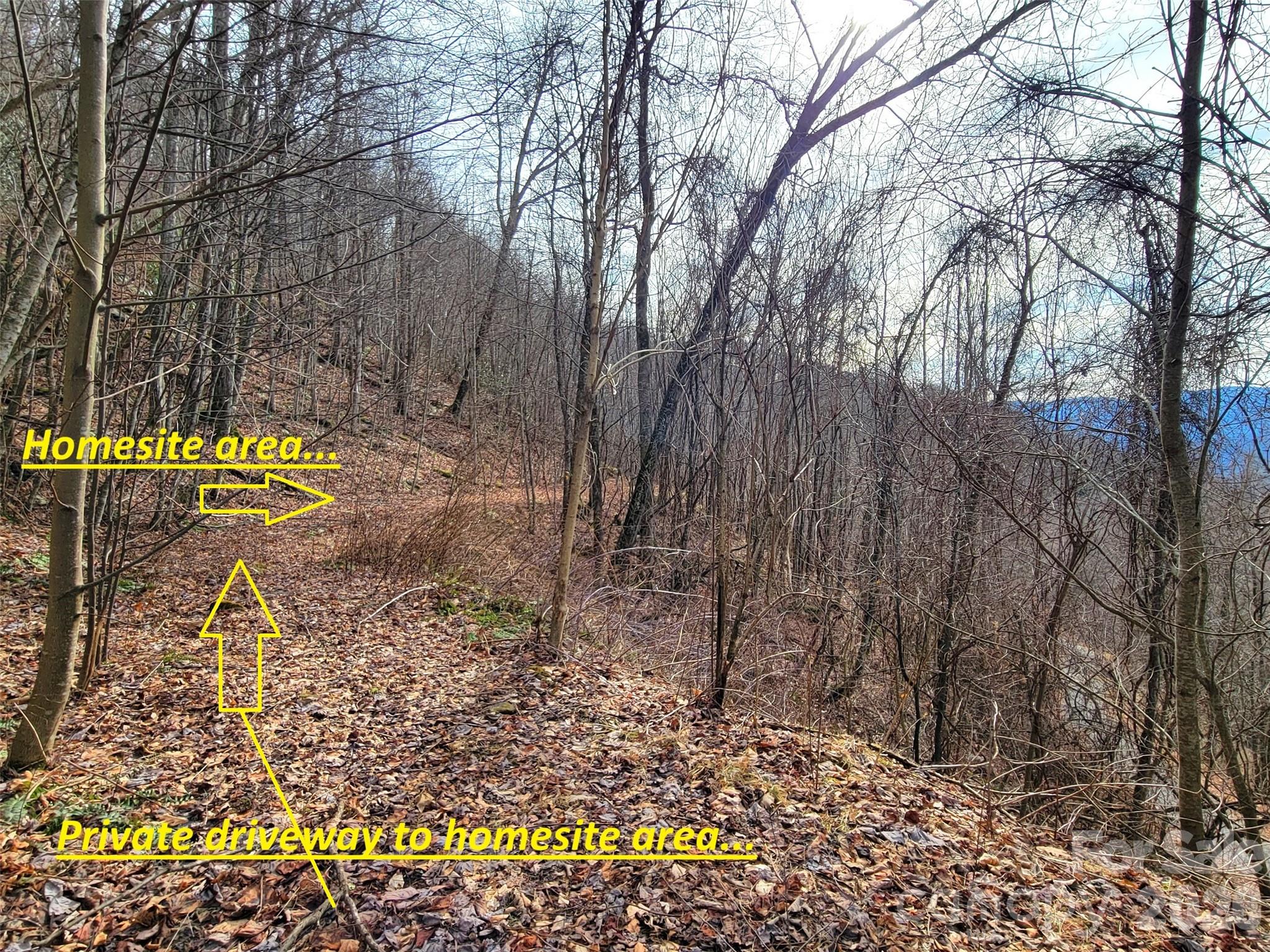 75 Rimrock Ridge Clyde NC 28721