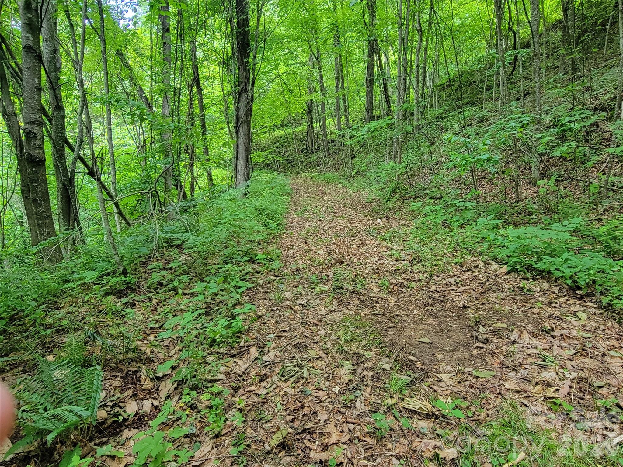 75 Rimrock Ridge Clyde NC 28721