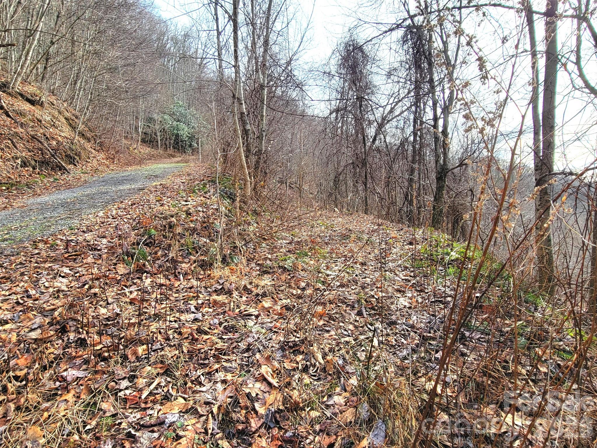 75 Rimrock Ridge Clyde NC 28721