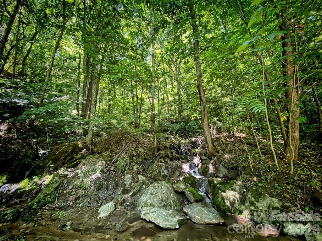 2736 White Oak Flats Road Green Mountain NC 28740