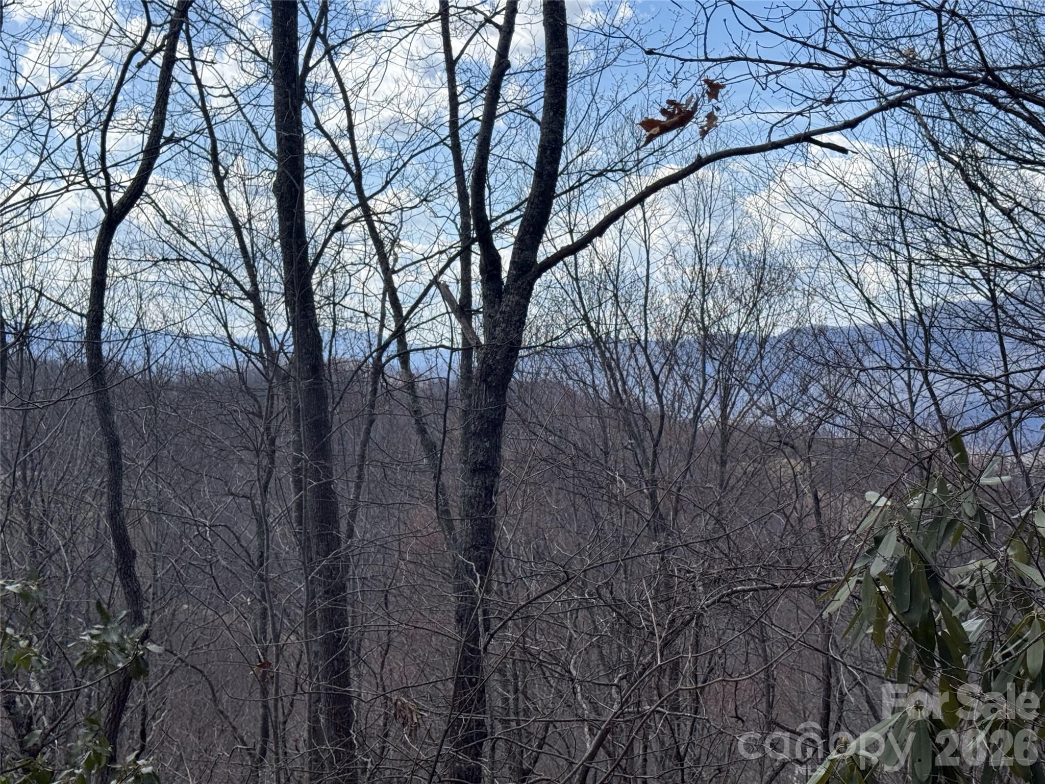 81 Boarding House Way Sylva NC 28779