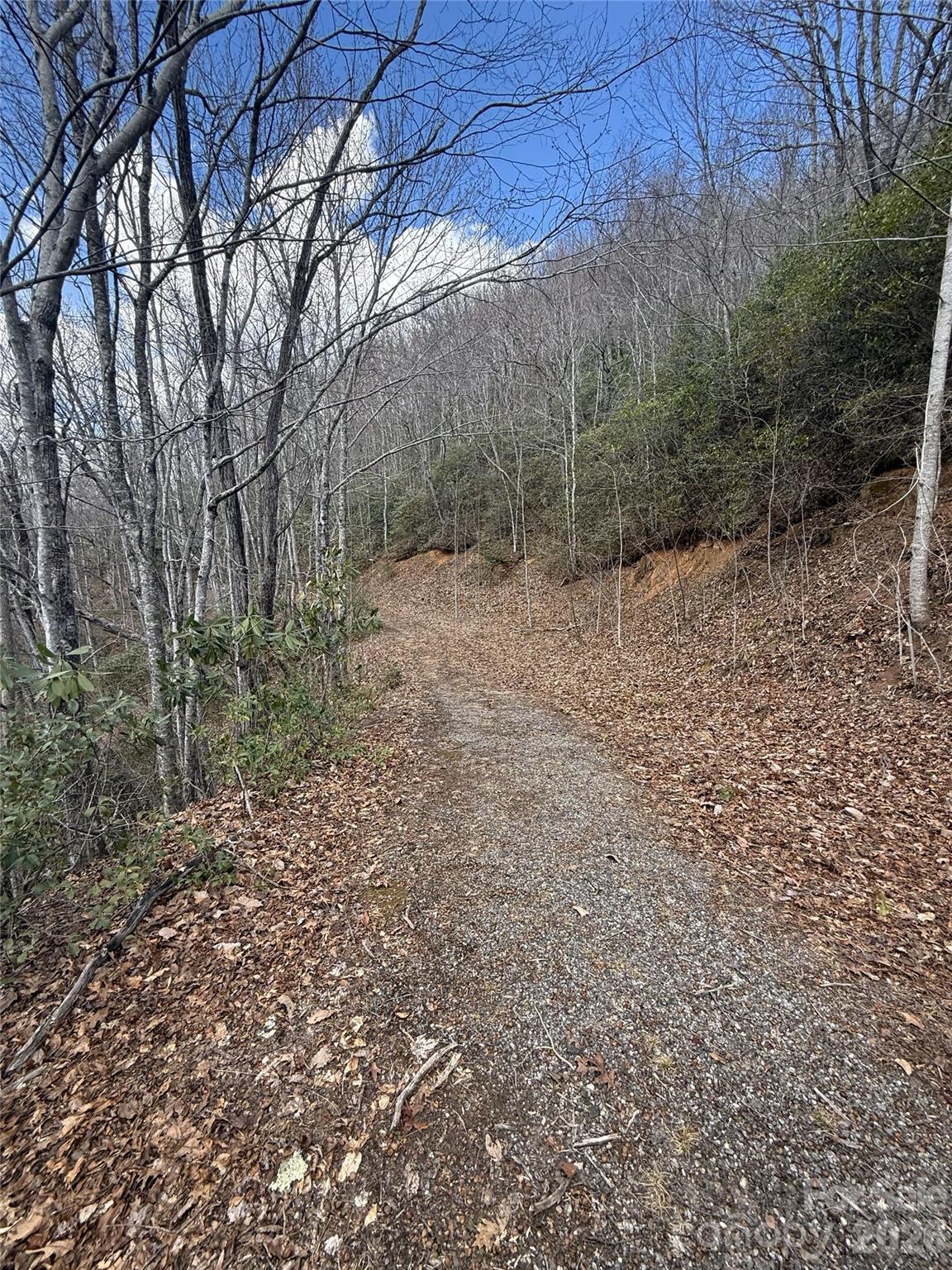 81 Boarding House Way Sylva NC 28779