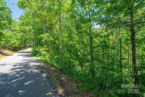 Lot 131 Plantation Drive Rutherfordton NC 28139