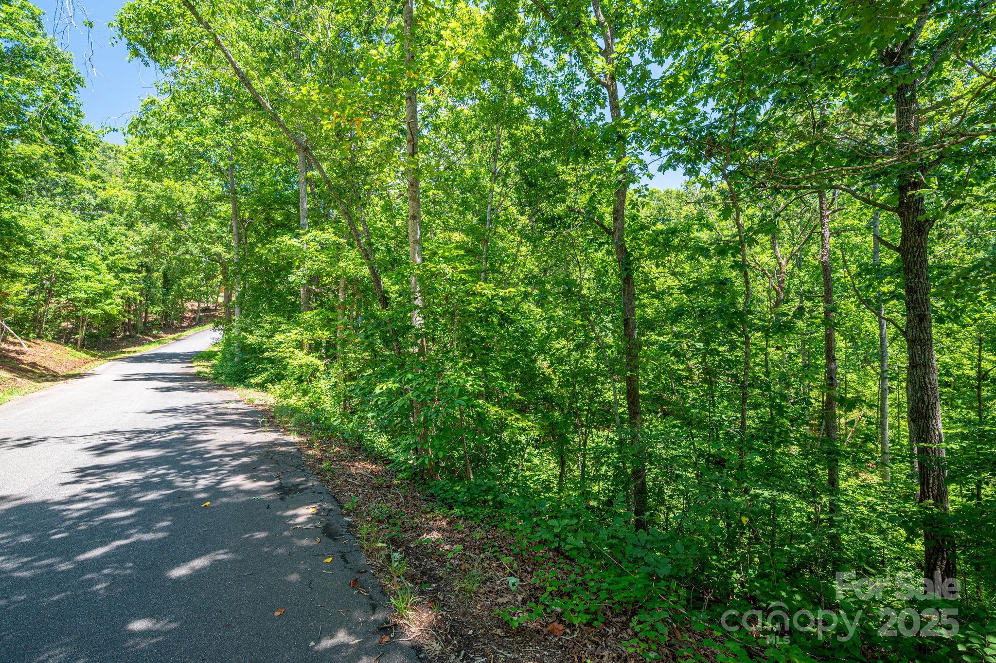 Lot 131 Plantation Drive Rutherfordton NC 28139