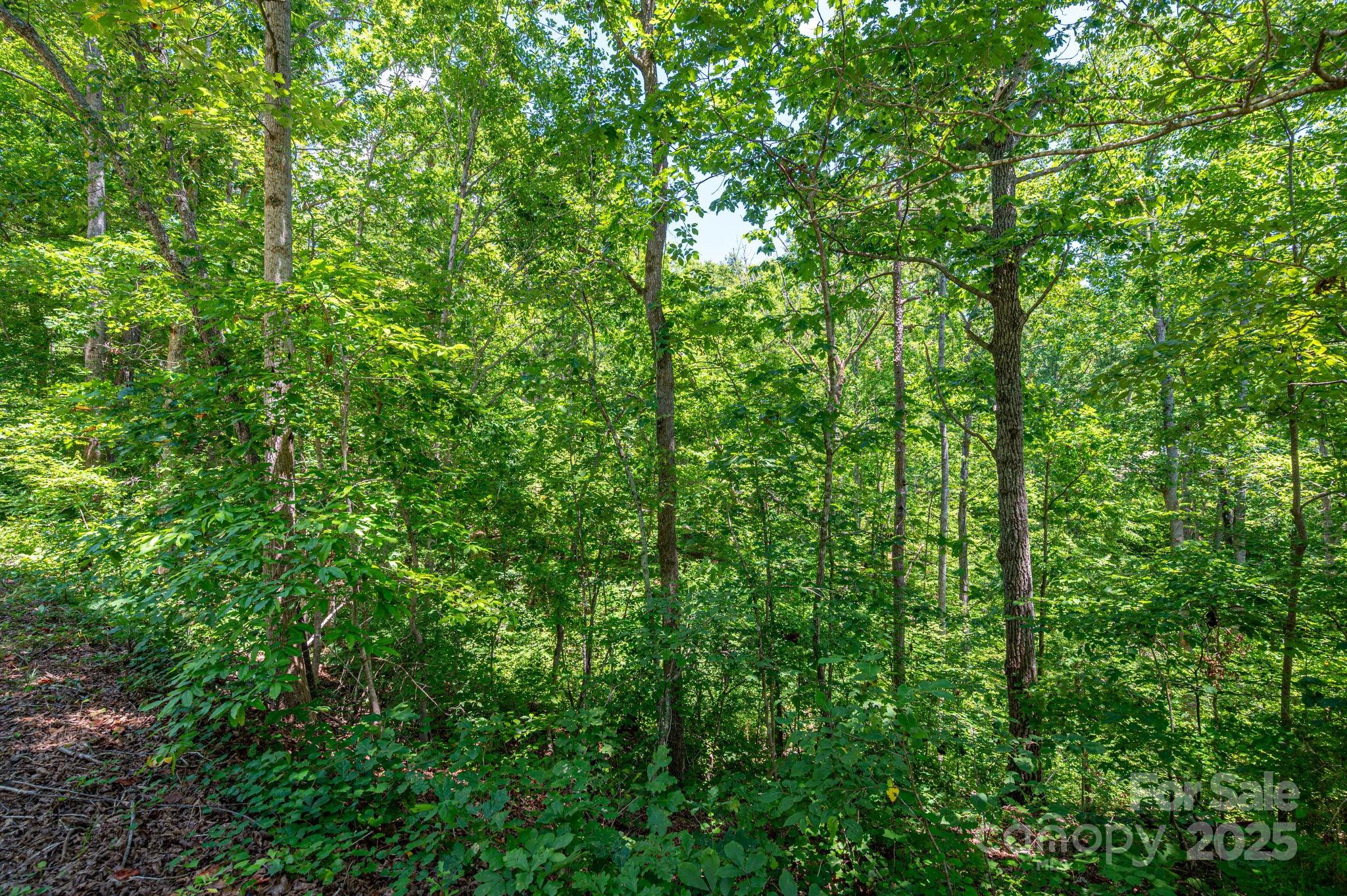 Lot 131 Plantation Drive Rutherfordton NC 28139