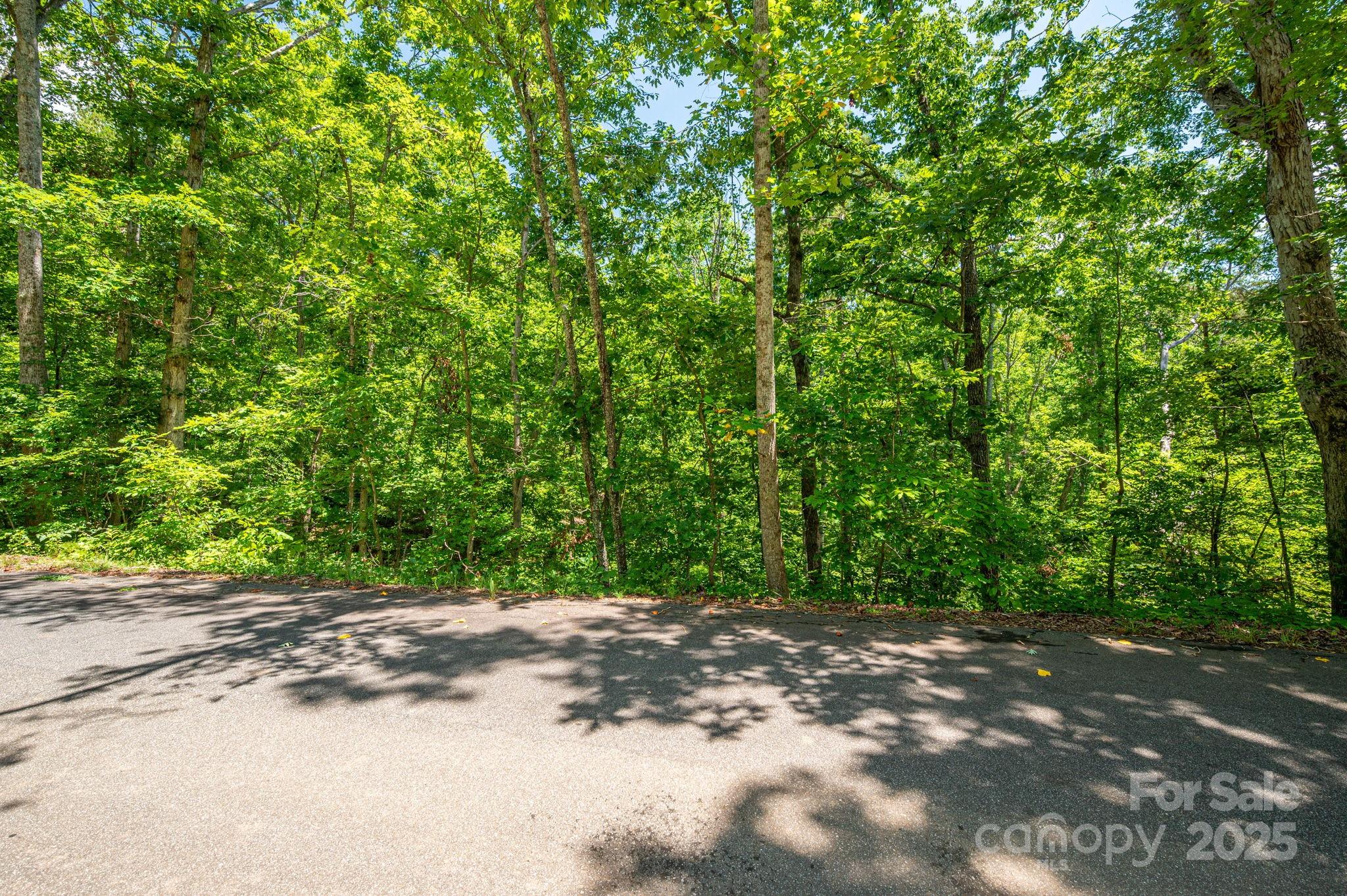 Lot 131 Plantation Drive Rutherfordton NC 28139
