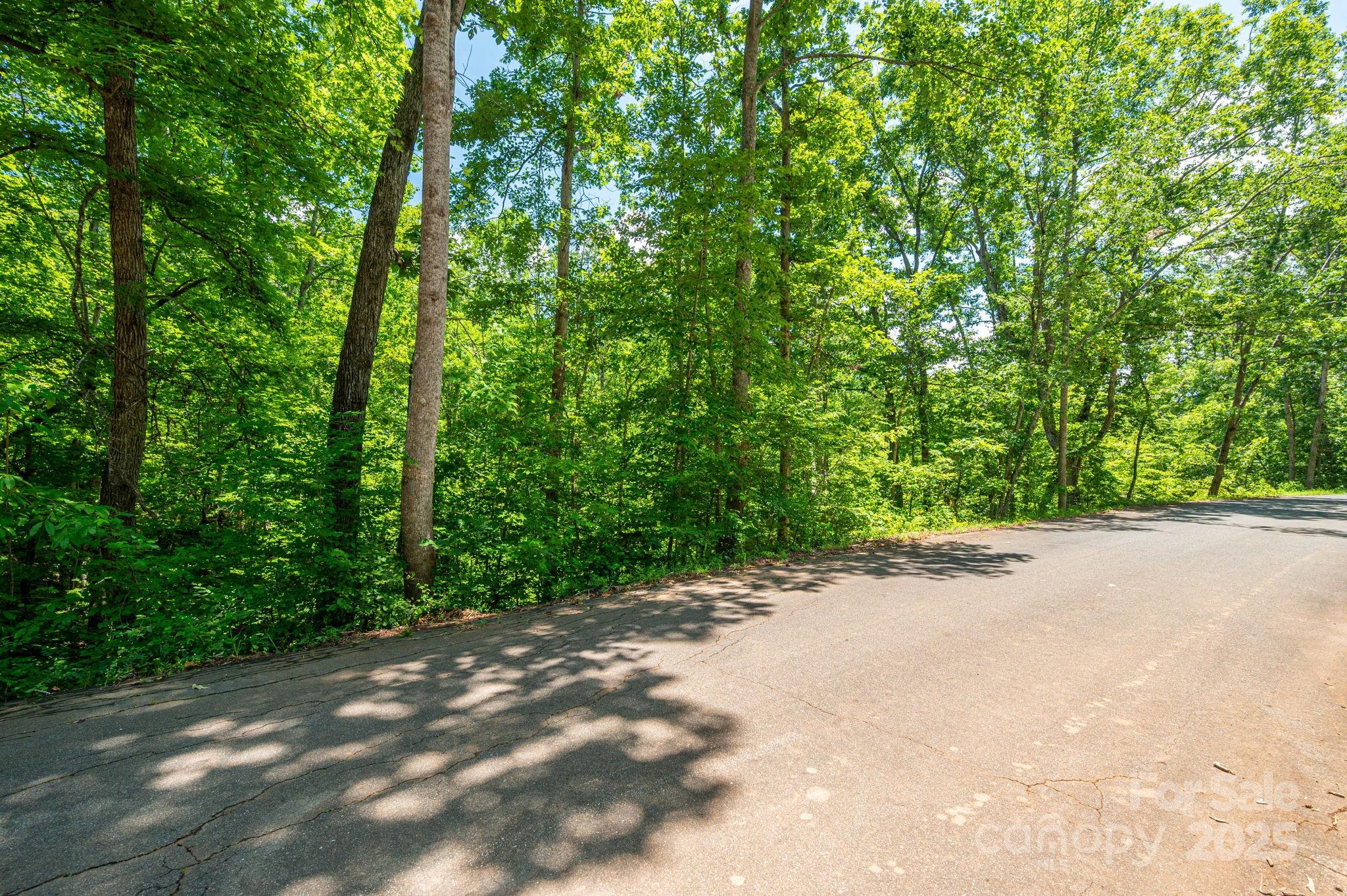 Lot 131 Plantation Drive Rutherfordton NC 28139