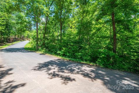 Lot 131 Plantation Drive Rutherfordton NC 28139