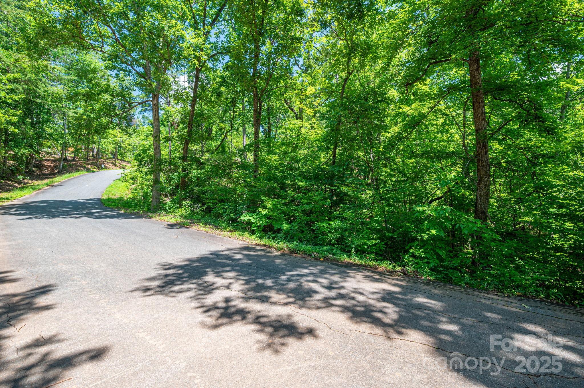 Lot 131 Plantation Drive Rutherfordton NC 28139
