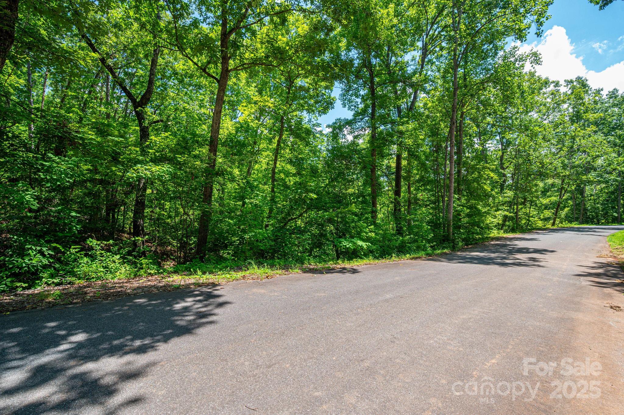 Lot 131 Plantation Drive Rutherfordton NC 28139