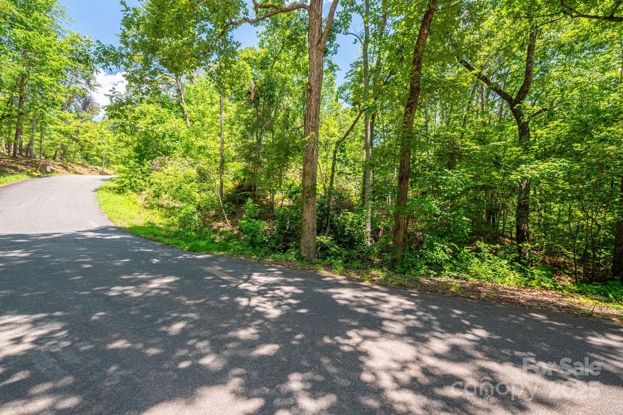 Lot 131 Plantation Drive Rutherfordton NC 28139