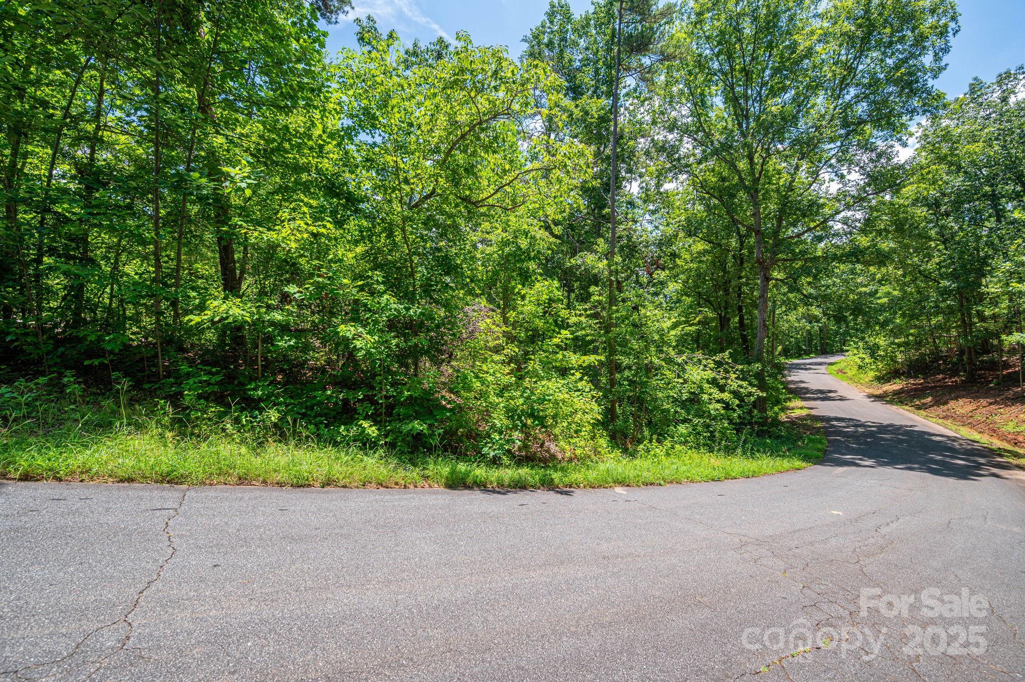 Lot 131 Plantation Drive Rutherfordton NC 28139