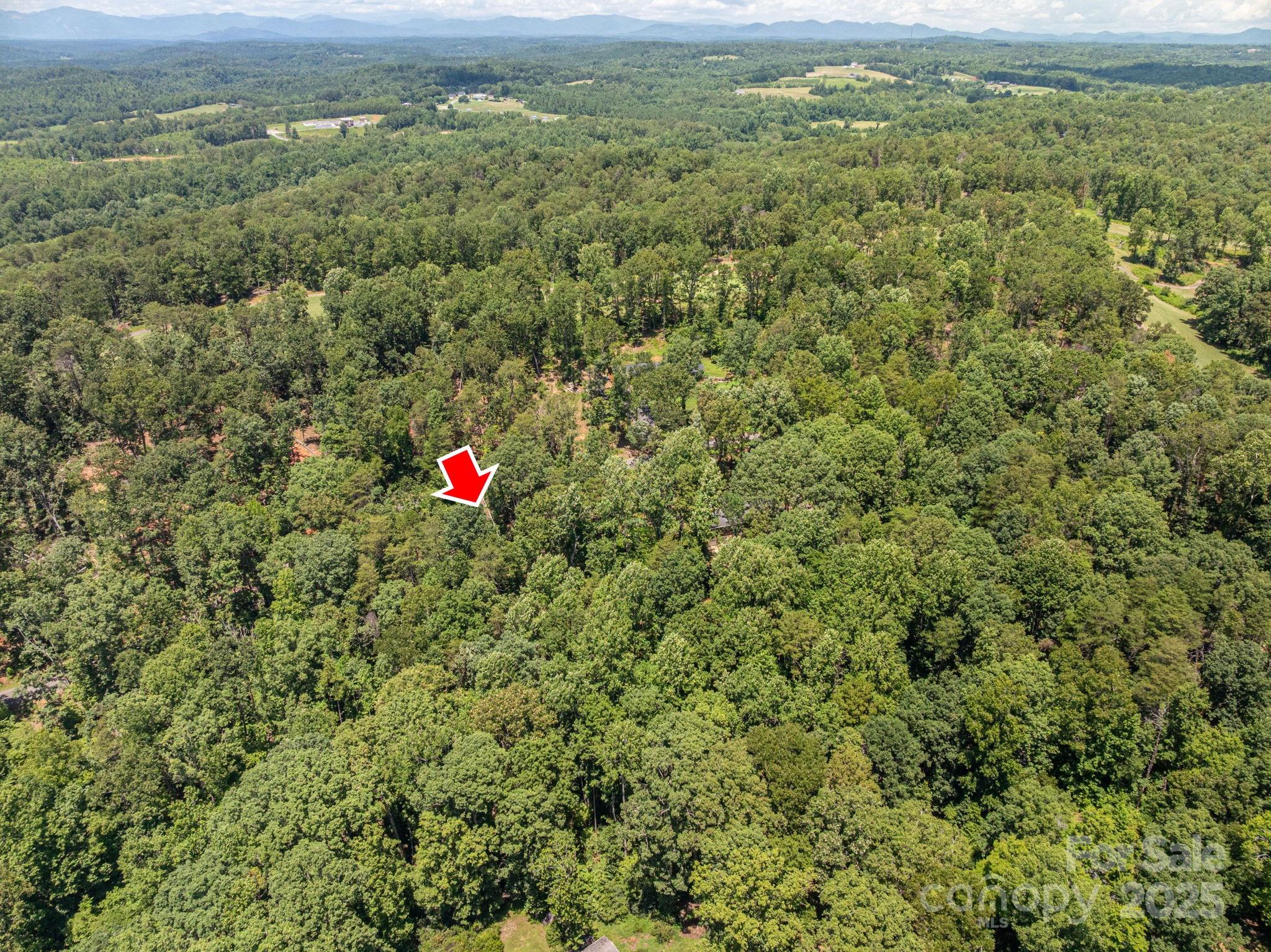 Lot 131 Plantation Drive Rutherfordton NC 28139