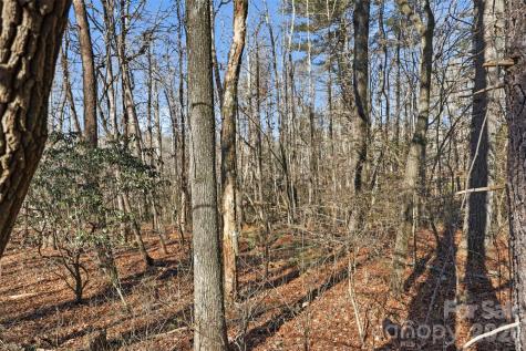 0 Three Forks Church Road Taylorsville NC 28681